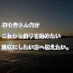 【初心者さん向け】釣りを始めたい、趣味にしたい方へ