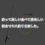 釣って楽しい、食べて美味しい都会でキス釣りをしよう！