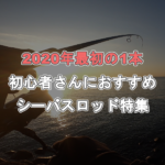 2020年、初心者さんおすすめシーバスロッド