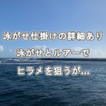 泳がせ仕掛けの詳細あり。泳がせとルアーでヒラメ狙うが…