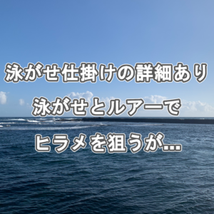 泳がせ仕掛けの詳細あり。泳がせとルアーでヒラメ狙うが…