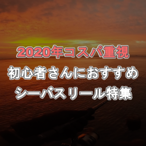 2020年、初心者さんにおすすめシーバスリール