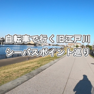 自転車で行く旧江戸川シーバスポイント巡り。
