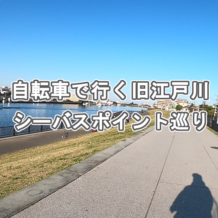 自転車で行く旧江戸川シーバスポイント巡り。