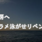 外房へヒラメ泳がせリベンジ